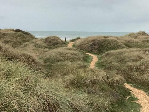 a dirt path through the grass on the beach at 6 person holiday home in Pandrup-By Traum in Pandrup