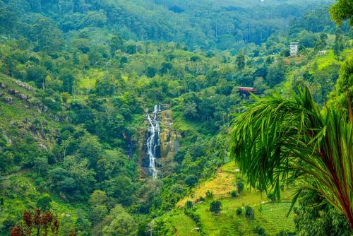 una cascata nella giungla con una palma di Onestar Ella a Ella