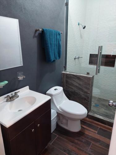 a bathroom with a toilet and a sink and a shower at Casa Camichines in Ciudad Guzmán
