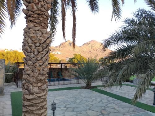Gallery image of The Wadi Inn in Al Ḩamrāʼ