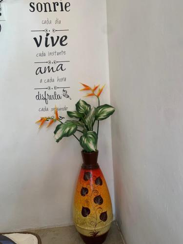 a vase with a plant in it next to a wall at Cuartos kukulcan in Valladolid