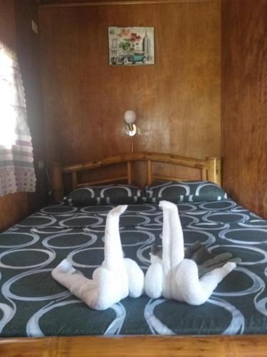 two swans laying on top of a bed at Casa de Corazon in Kandabong