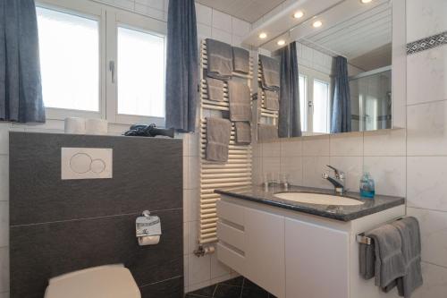 a bathroom with a sink and a toilet and a mirror at Apartment Jungfrau Lodge in Grindelwald