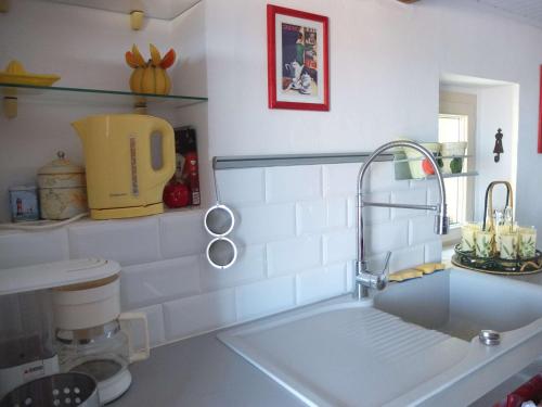 eine Küchentheke mit einer Spüle und einem Mixer in der Unterkunft Maison Provence à Baudinard-sur-Verdon in Baudinard