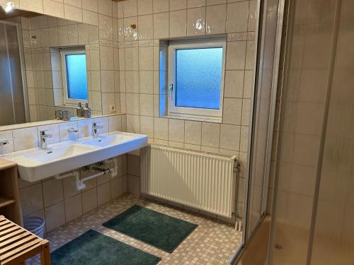 ein Bad mit einem Waschbecken und einer Dusche in der Unterkunft Appartement Fischbacher in Schladming