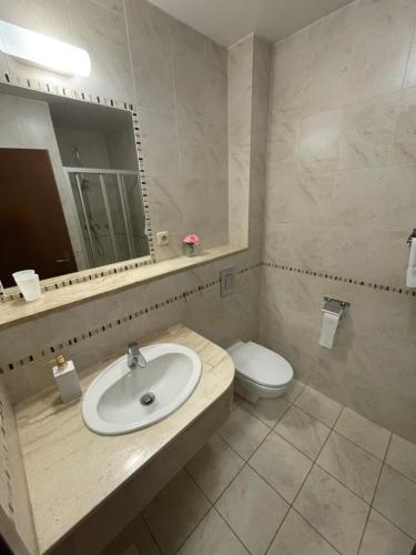 a bathroom with a sink and a toilet and a mirror at Penzion Adler in Dobruška