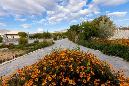 a path through a garden with flowers at Jebel Shams Resort منتجع جبل شمس in Dār Sawdāʼ