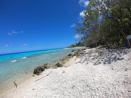 a sandy beach with trees and blue water at Moana Breeze Rangiroa - Rental car included - Air conditioning - WI-Fi in Tiputa