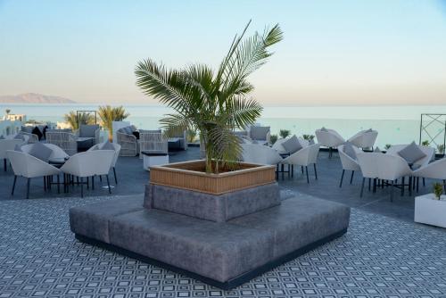a restaurant with a palm tree and tables and chairs at Sunrise Diamond Beach Resort -Grand Select in Sharm El Sheikh
