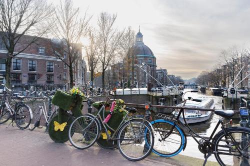 a group of bikes parked next to a canal at Ciao Papa Hotel Amsterdam Central Station in Amsterdam