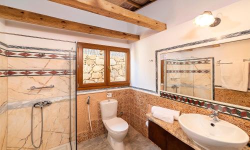 a bathroom with a toilet and a shower and a sink at Cretan Kera Villa Heated Pool in Kerá