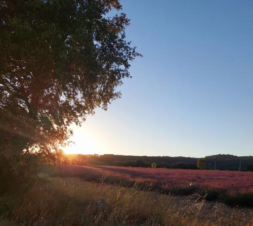 Appartement Roussillon – Photos 2