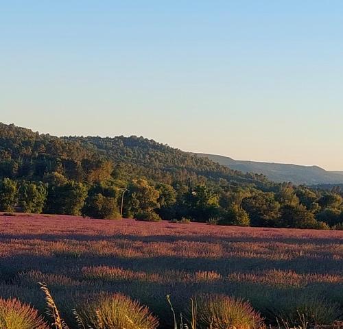 Appartement Roussillon – Photos 3