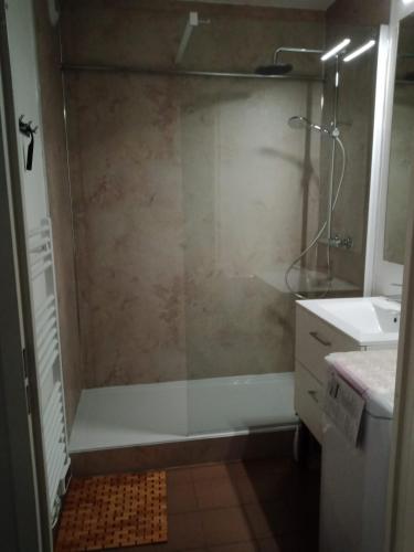 une salle de bain avec douche et lavabo dans l'établissement T2 Calme assuré face à la pique les Ramel, à Luchon