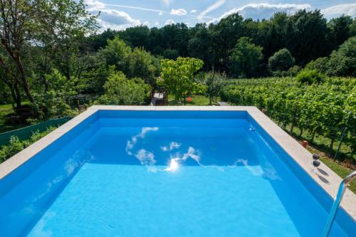 einen Infinity-Pool mit Blick auf einen Weinberg in der Unterkunft Rustic Cottage With Heated Pool - Happy Rentals in Velika Buna