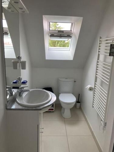 une salle de bain avec un lavabo et des toilettes et une fenêtre dans l'établissement T2 cosy bien équipé climatisé pkg ext gratuit, à Fleury-les-Aubrais
