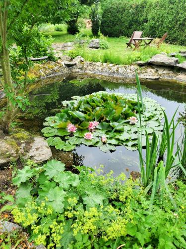 a pond with lilies and flowers in a garden at Chatka Mileč in Nepomuk