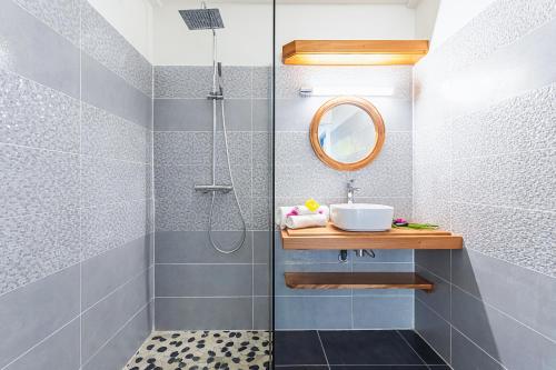 W łazience znajduje się prysznic, umywalka i lustro. w obiekcie Villa Orchidées w mieście Sainte-Anne