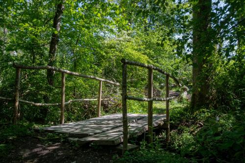 een houten brug in het midden van een bos bij Feriehuset Ørnereden in Rønne