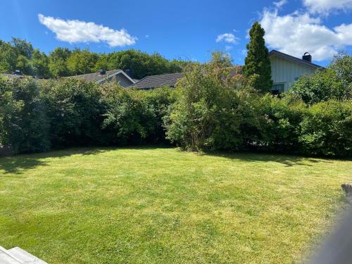 a yard with a large lawn with bushes and trees at Nice place near the sea and forest in Larvik