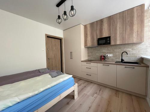 a kitchen with a bed and a sink in a room at Modern guest house in city center I Room 2 in Vilnius
