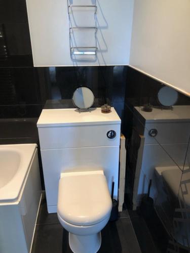 a bathroom with a toilet and a sink and a mirror at Superfast WiFi studio, bathroom & own entrance in Brighton & Hove