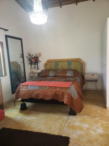 a bedroom with a bed and a large mirror at Hotel Campestre Villa Nico in Bochalema