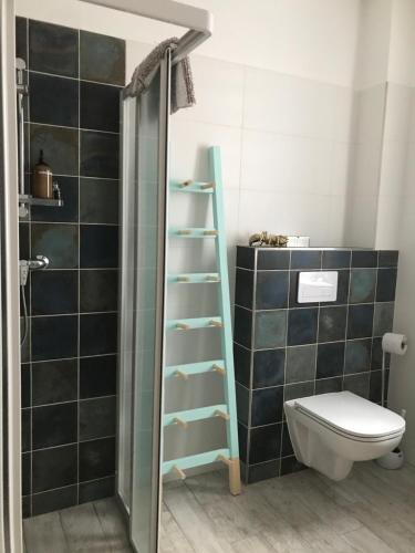 een badkamer met een ladder naast een toilet bij LIP no.15 in Lipno nad Vltavou