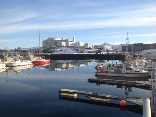 a boat is docked at a dock in a harbor at Tanginn in Stykkishólmur