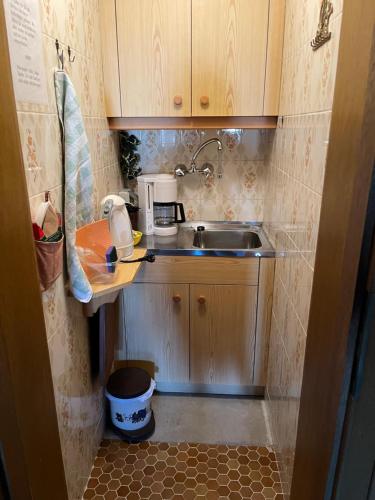 a small kitchen with a sink and a microwave at Appartement Seewaldhof in Brixen im Thale