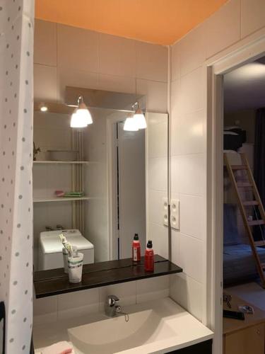 une salle de bain avec un lavabo et un miroir dans l'établissement Charmant studio Ax les thermes, à Ax-les-Thermes