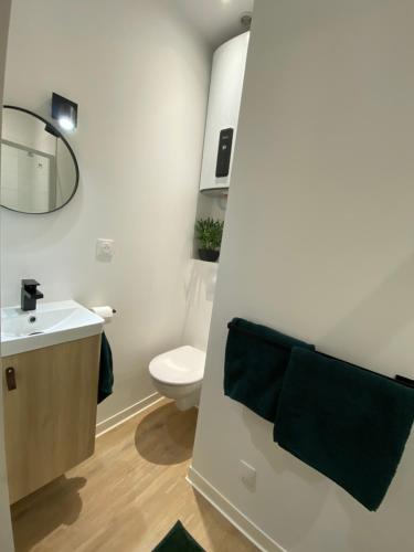 une salle de bain avec un lavabo, des toilettes et un miroir dans l'établissement Au Chant des Oiseaux - Rouen Gare, à Rouen