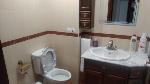 a bathroom with a toilet and a sink at APARTAMENTO LUMINOSO EN URBANIZACIÓN PRIVADA in Granada