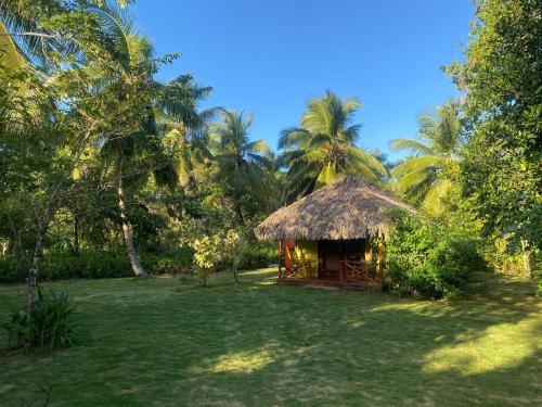 a small hut in a field with palm trees at Aventura Rincon Ecolodge in Las Galeras