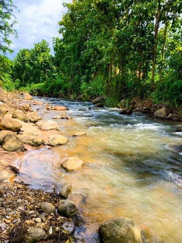 a river with rocks and trees in the background at Huean Him Pan Homestay เฮือนฮิมปานโฮมสเตย์ in Ban Mae Pan