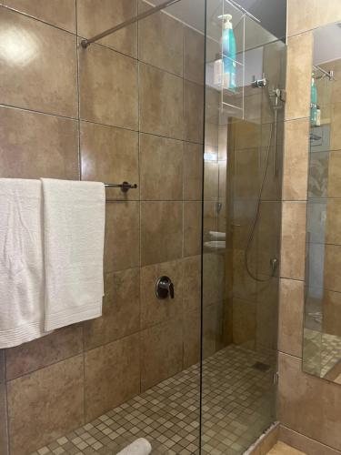a bathroom with a shower with a glass door at Beachfront Gem / Free Parking / A/C in Cape Town