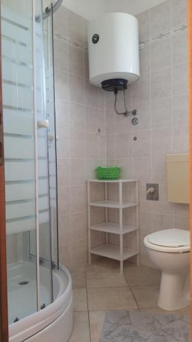a bathroom with a shower and a toilet and a light at Apartments Irena in Božava