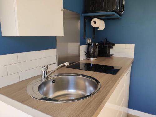 a kitchen with a stainless steel sink on a counter at La cabane au fond du jardin - 300m de la plage in Saint Malo