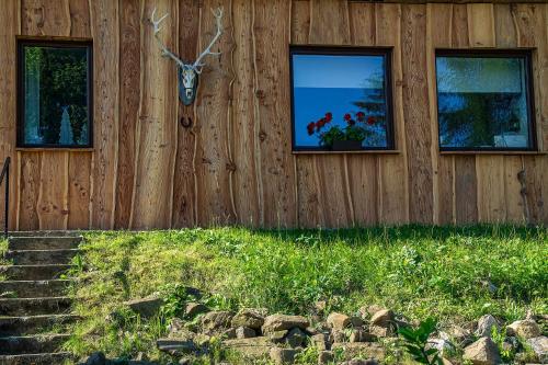 a house with two windows and a wall with a deer head on it at Larix Mátra Vendégház in Matraszentlaszlo