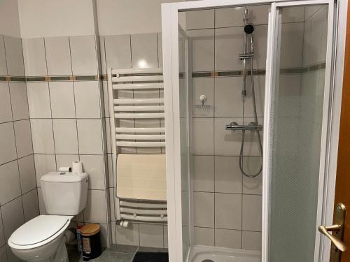 a small bathroom with a toilet and a shower at La Maringote in Cerisy-la-Forêt