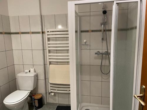 mała łazienka z toaletą i prysznicem w obiekcie La Maringote w mieście Cerisy-la-Forêt