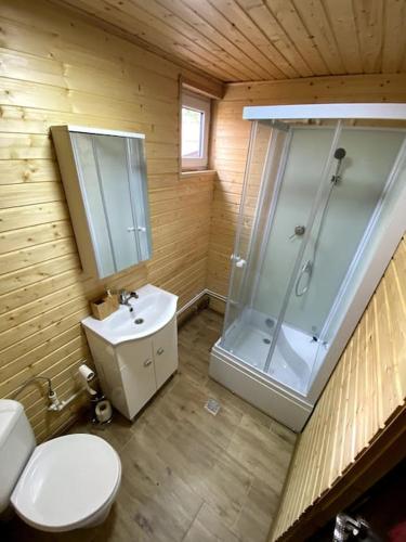 a bathroom with a shower and a toilet and a sink at Cabană la poalele munților cu ciubăr in Jieţ