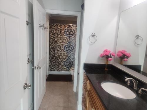 a bathroom with a sink and a toilet and a mirror at Apartment in Ponte Vedra Beach in Ponte Vedra Beach