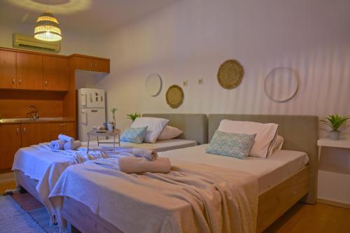 サラミスにあるArsinoe Luxury Villaのベッド2台 キッチン付きの部屋