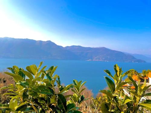 a view of a lake with mountains in the background at Ferienwohnung Studio Belvedere in Brezzo