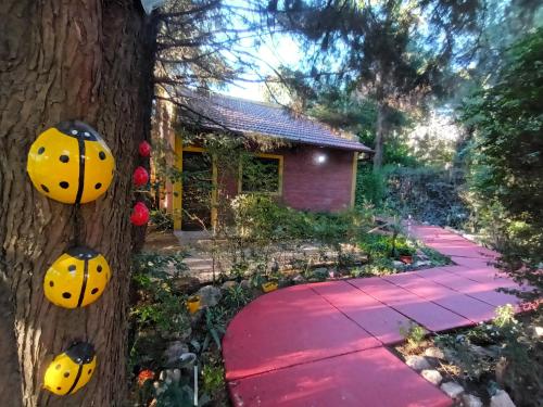 Las Casuarinas – Photos 3