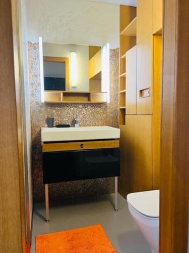 une salle de bain avec un lavabo et des toilettes dans l'établissement DELUXE VILLA ASTERISK at MONT VENTOUX, à Mollans-sur-Ouvèze