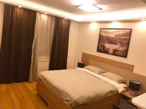 a bedroom with a bed and a picture on the wall at Apartment Maximus II lux in Novi Beograd