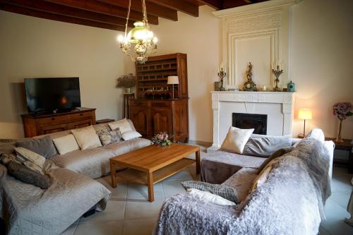 sala de estar con sofás, TV y chimenea en maison bourgeoise en Rouffignac