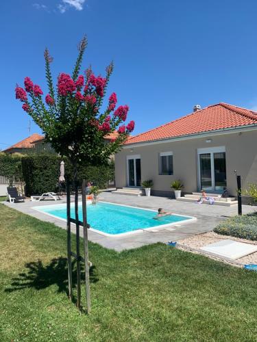 Tony's house in garden